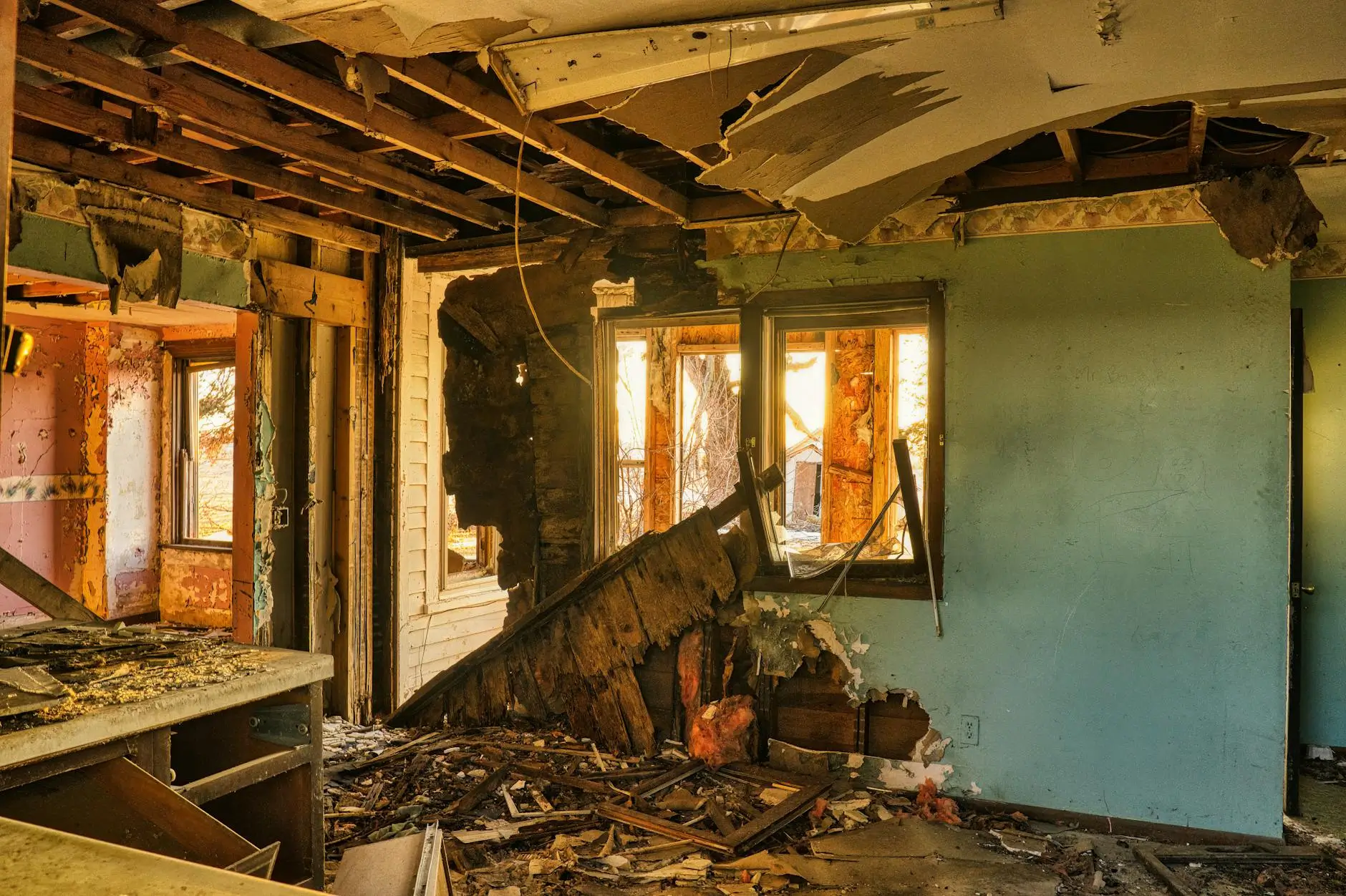 Henderson's Trusted Mold Remediation Experts — Henderson, NV