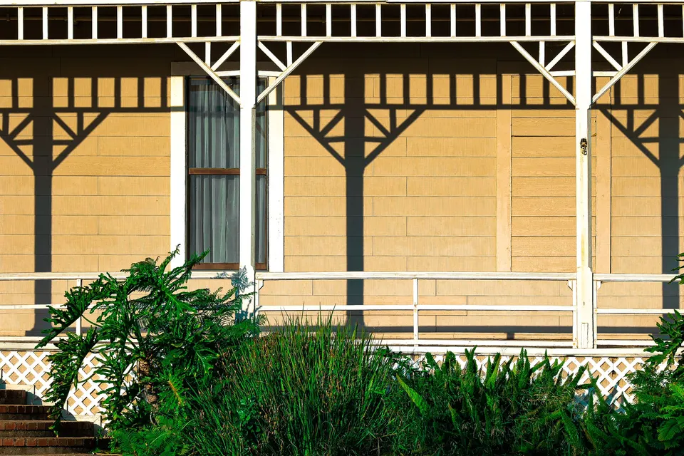 mold removal Spring Valley