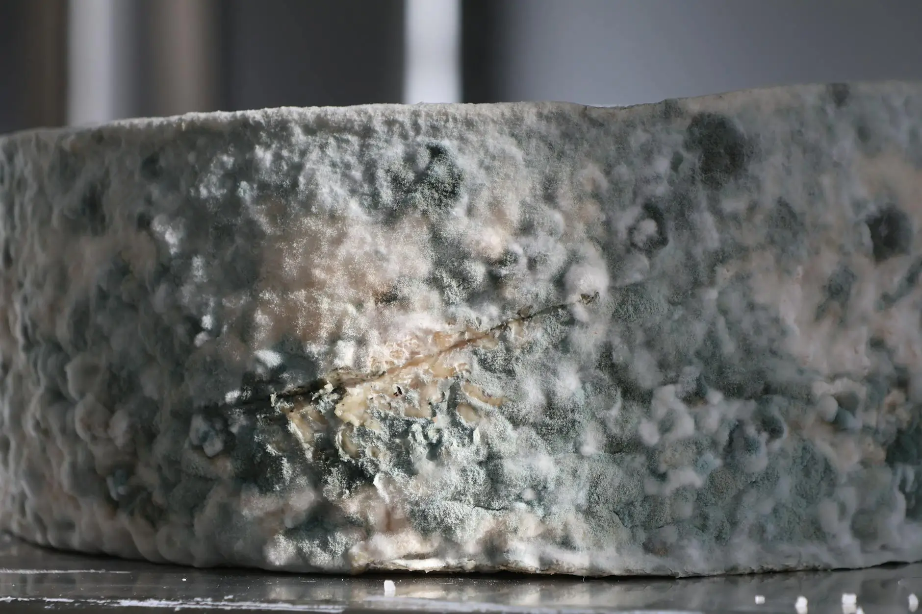 Hidden Mold & Air Quality Testing — Henderson